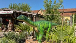 2025 0629 dino